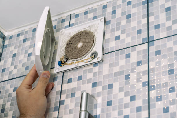 Best Air Duct Mold Removal  in Lochsloy, WA