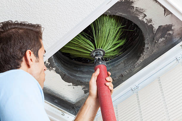 Best Local Air Duct Cleaning Services  in Lochsloy, WA